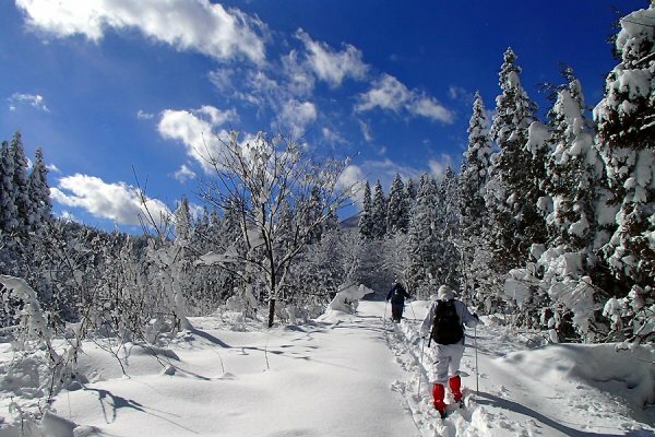スノーシューと歩くスキーの2日間コース【2日間ガイド】