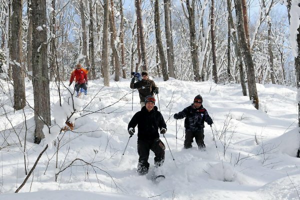 スノーシュー体験【半日・AM】