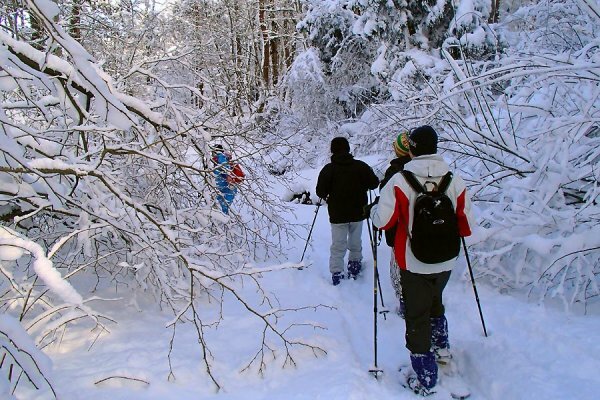 スノーシュー体験【半日・PM】