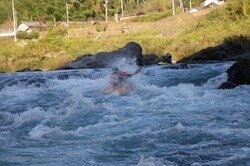 IMGP1168.jpg